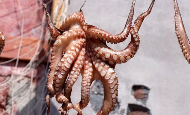 7 бесплатных мероприятий, которые можно посетить в эти выходные