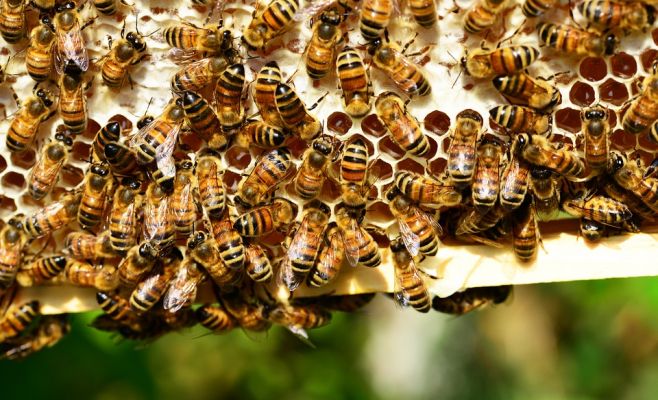 7 бесплатных мероприятий, которые можно посетить в эти выходные