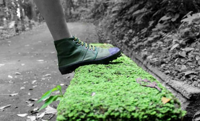 Фестиваль Teniskology 2016