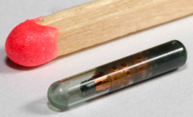 В Чехии вживление чипов в тело приобретает все большую популярность