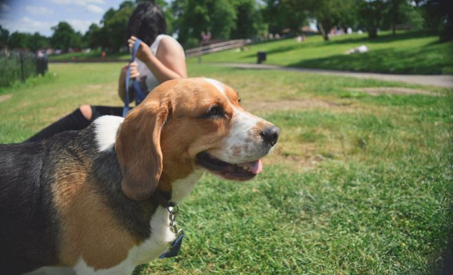 5 бесплатных мероприятий, которые можно посетить в эти выходные