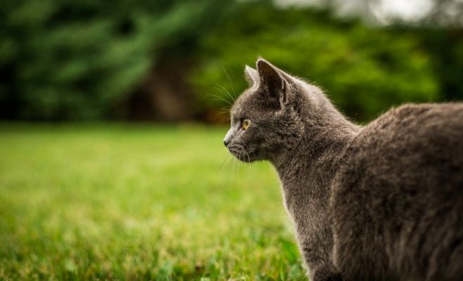 5 бесплатных мероприятий, которые можно посетить в эти выходные