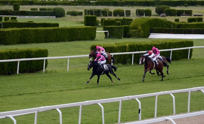 Забеги на призы президента Чешской Республики