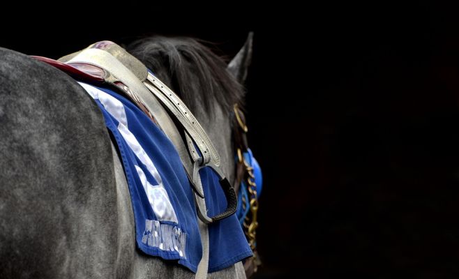 Забеги на призы президента Чешской Республики