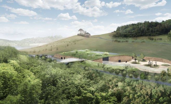 Пражский зоопарк построит новый павильон для горилл