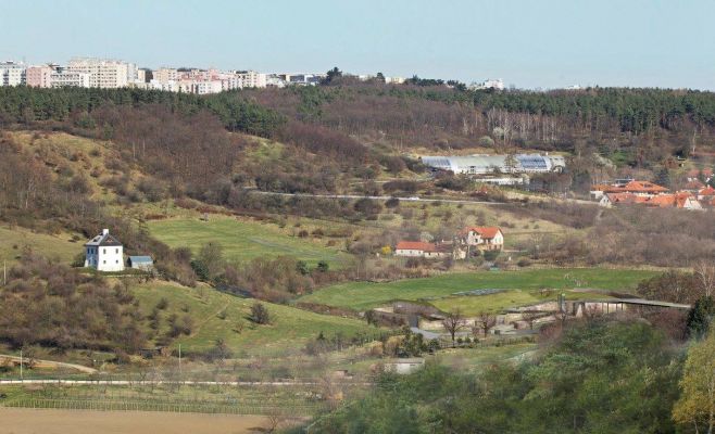 Пражский зоопарк построит новый павильон для горилл