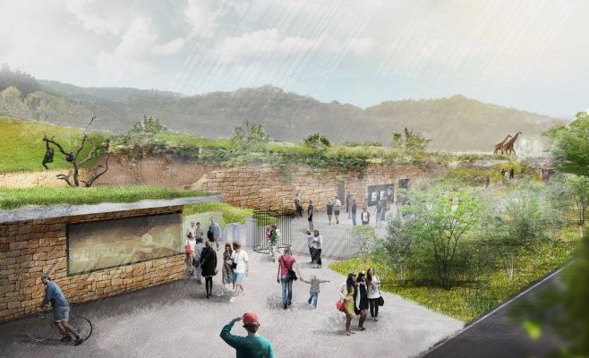 Пражский зоопарк построит новый павильон для горилл