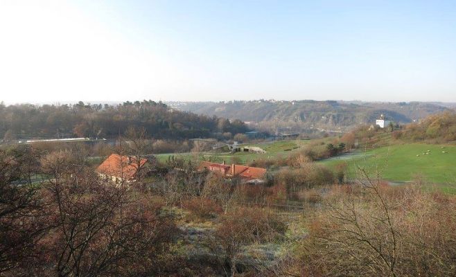 Пражский зоопарк построит новый павильон для горилл