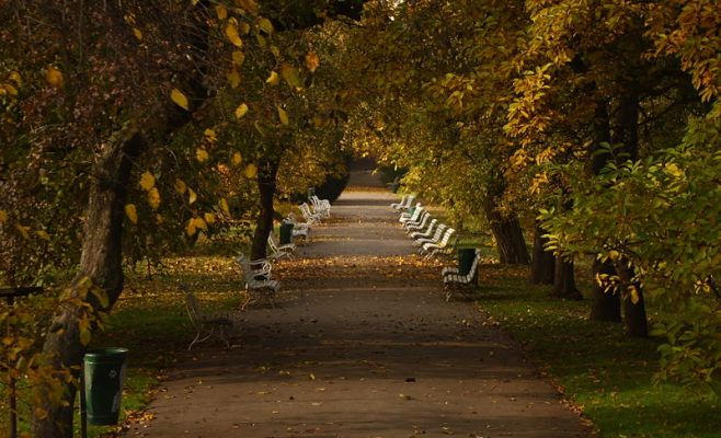 Лучшие места для романтических прогулок в Праге