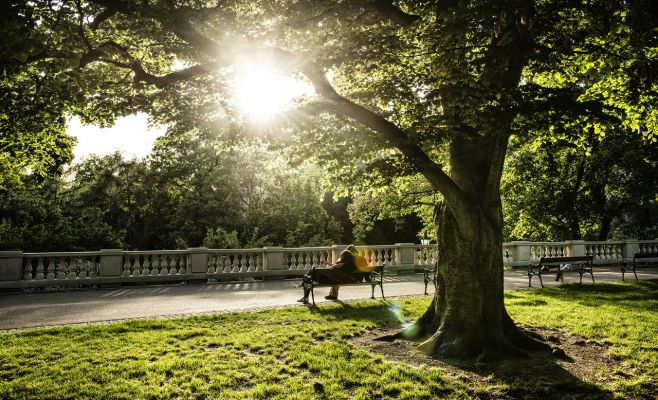 Лучшие места для романтических прогулок в Праге