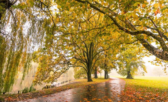 Лучшие места для романтических прогулок в Праге