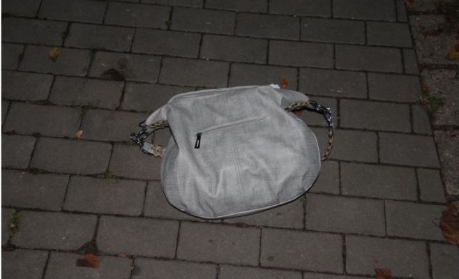 Вор в спешке не заметил в сумке 300 тыс. и забрал только 5