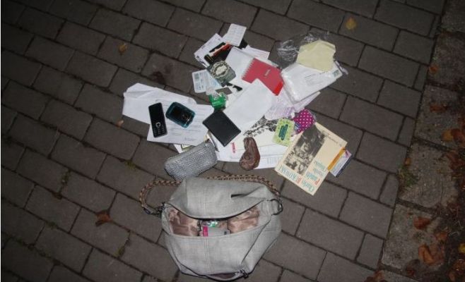 Вор в спешке не заметил в сумке 300 тыс. и забрал только 5