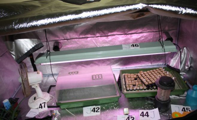 Спецоперации в Праге и Пльзене: Задержаны преступники с рекордной партией наркотиков