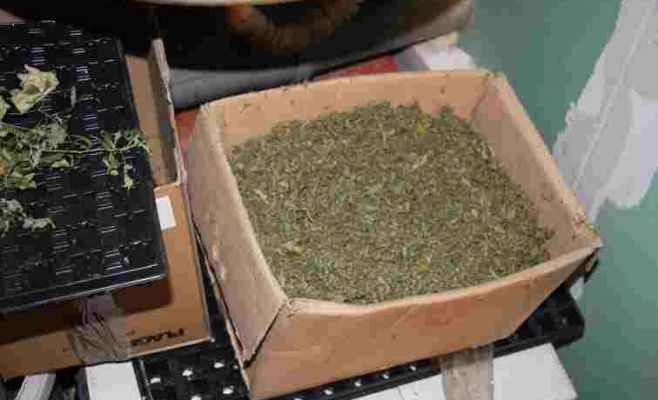 Спецоперации в Праге и Пльзене: Задержаны преступники с рекордной партией наркотиков