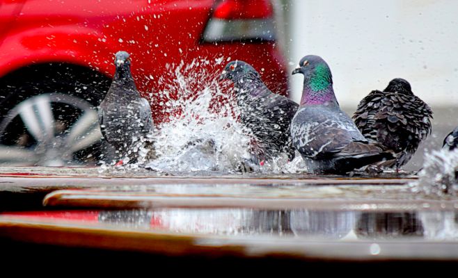 Чехию ожидают теплые, но пасмурные выходные