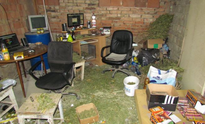 В Чехии обнаружили конопляный дом