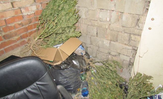 В Чехии обнаружили конопляный дом