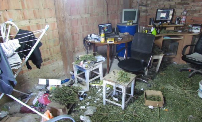 В Чехии обнаружили конопляный дом