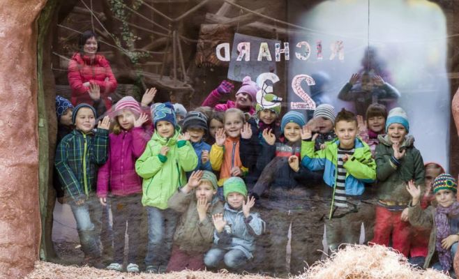 День рождения гориллы Ричарда