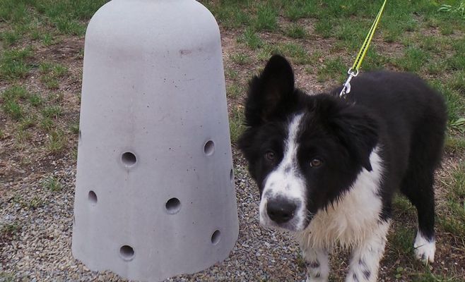 В Праге установили писсуар для собак