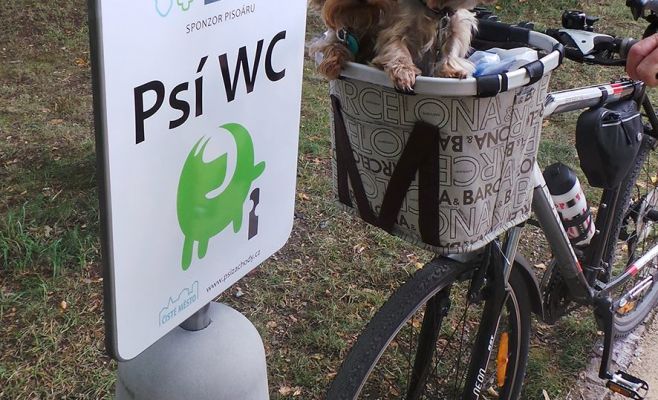 В Праге установили писсуар для собак