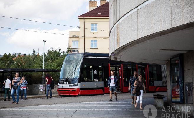 Возможен ли бесплатный общественный транспорт в Праге?