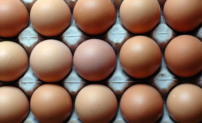 В Чехии сальмонеллой заражены 3,5 млн яиц