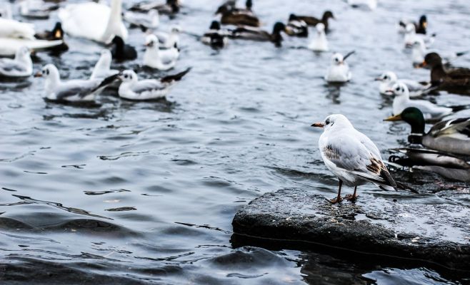 Чехию ожидает самая холодная неделя за последние 15 лет