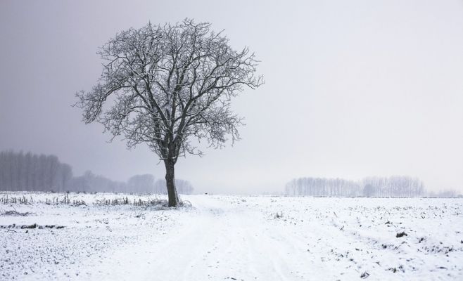 До конца недели в Чехии будет идти снег