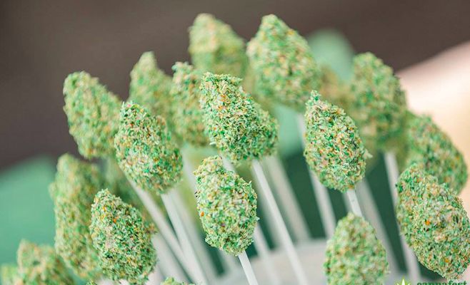 Cannafest Prague 2016