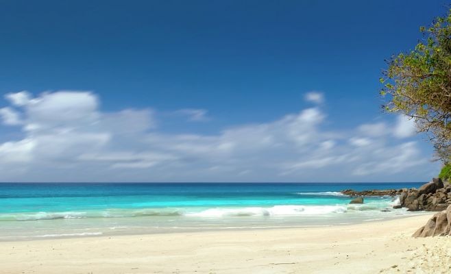 Где чехи планируют отпраздновать Рождество и Новый год