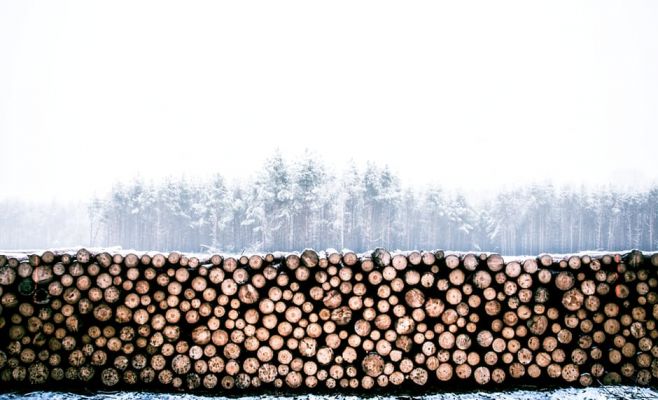 На север Чехии пришла настоящая зима, температура опустила до -11