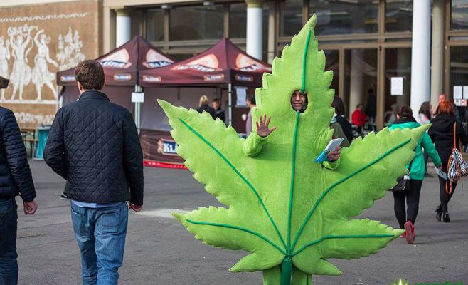 Итоги фестиваля конопли в Праге: сотни грамм конфискованных наркотиков и десятки задержанных