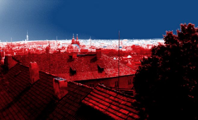 Процедура получения долгосрочной визы с целью предпринимательства будет упрощена