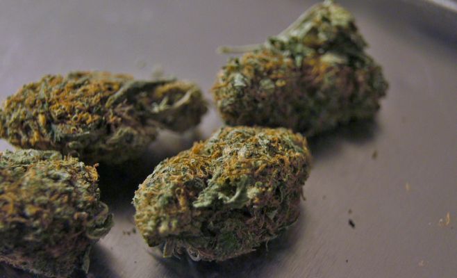 Двоих граждан РФ судят в Чехии за хранение наркотиков