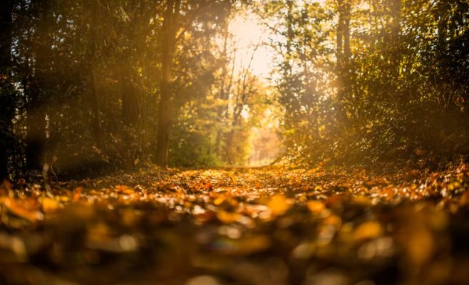 Вчерашний день стал самым жарким с 1951 года