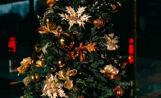 Адвент и Рождество: сколько стоят рождественские елки в разных городах Чехии