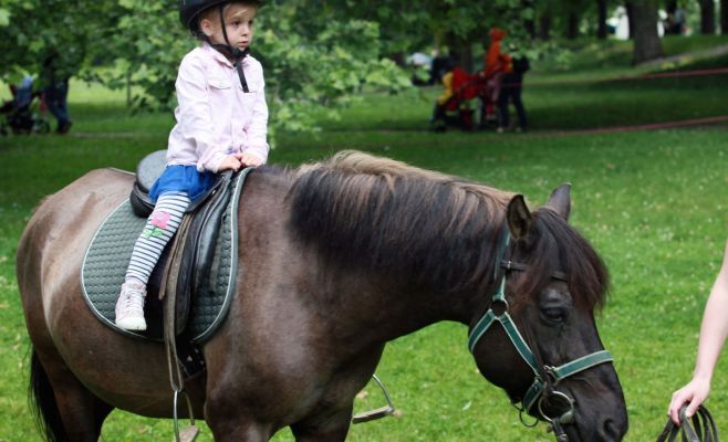 Фестиваль Kašpárkohraní 2018