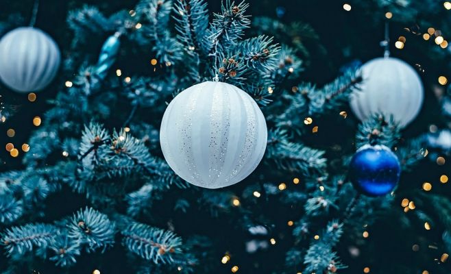 В Чехии сильный ветер повалил ещё одну городскую ёлку