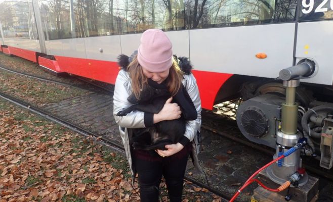 В Праге ради спасения щенка подняли трамвай