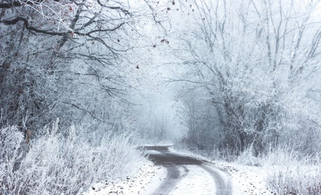 Прогноз погоды в новогодние праздники