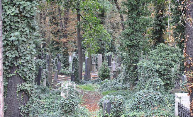 Останки украинского поэта Александра Олеся, похороненного на Ольшанском кладбище в Праге, будут перевезены в Киев