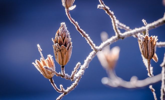 Чехию ожидают морозные выходные