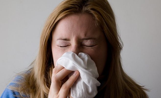 В Чехии официально объявлена эпидемия гриппа