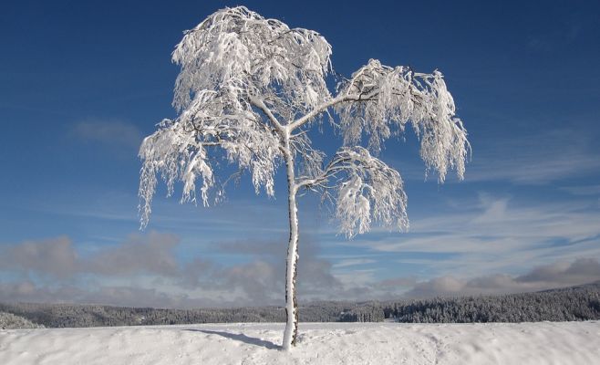 Чехия пережила самый холодный день зимы. На Шумаве было -34,6