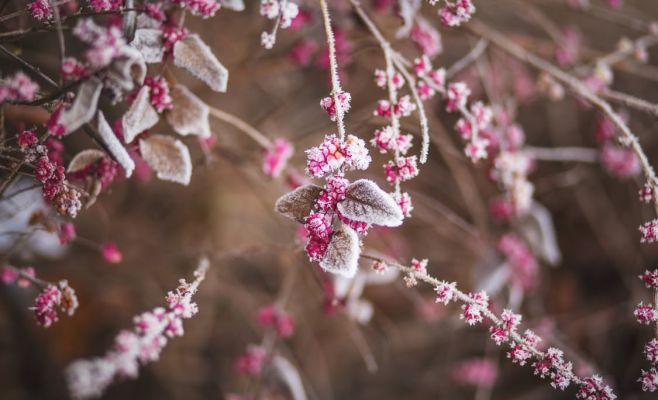 Чехия пережила очередную морозную ночь. Температура опустились ниже -30