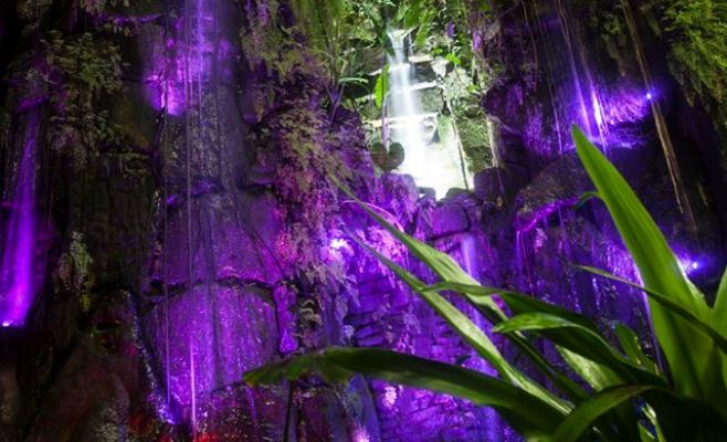 Ночные джунгли в оранжерее Fata Morgana