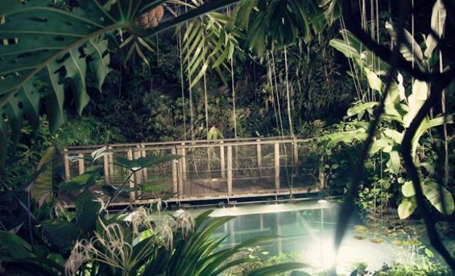 Ночные джунгли в оранжерее Fata Morgana