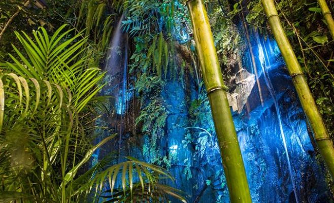 Ночные джунгли в оранжерее Fata Morgana